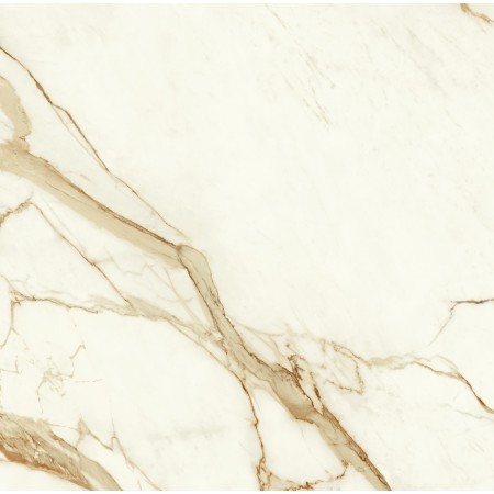 copy of MARVEL SHINE CALACATTA DELICATO LUCIDO 120X120