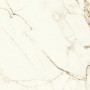 copy of MARVEL SHINE CALACATTA DELICATO LUCIDO 120X120