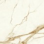 copy of MARVEL SHINE CALACATTA DELICATO LUCIDO 120X120