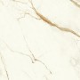 copy of MARVEL SHINE CALACATTA DELICATO LUCIDO 120X120
