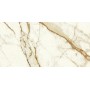 copy of MARVEL SHINE CALACATTA DELICATO LUCIDO 120X120