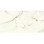 copy of MARVEL SHINE CALACATTA DELICATO LUCIDO 120X120