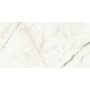 MARVEL SHINE STATUARIO SUPREMO LUCIDO 40X80