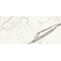 MARVEL SHINE STATUARIO SUPREMO SILK 50X120