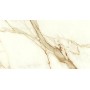 copy of MARVEL SHINE CALACATTA DELICATO SILK 50X120