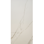 Calacatta Gold Glossy 60x120