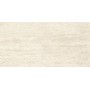 copy of MARVEL TRAVERTINE WHITE VEIN 60X120 MATT