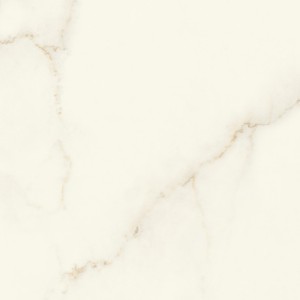 MARVEL X CALACATTA APUANO MATT 60X60 RET.