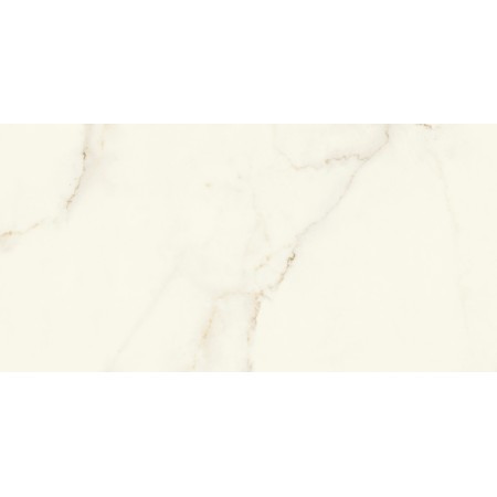 MARVEL X CALACATTA APUANO MATT 60X120 RET.