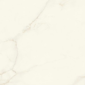 MARVEL X CALACATTA APUANO LUCIDO 120X120 RET.