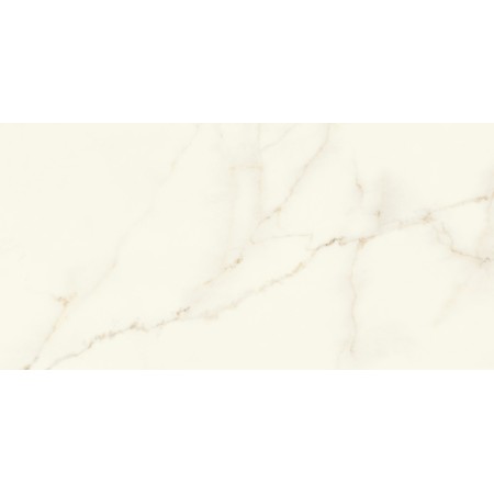 MARVEL X CALACATTA APUANO LUCIDO 60X120 RET.