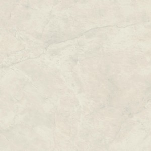 MARVEL X CALACATTA PERLA SILK 120X120 RET.