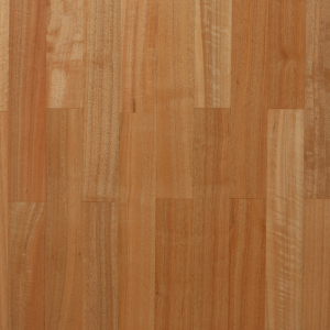 Viminalis Massive 65-75x400-500 Sp14mm