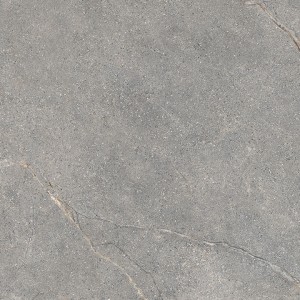ANTHOLOGY 04 GRAY ROUGH RETT 60x60 9,5 mm R11