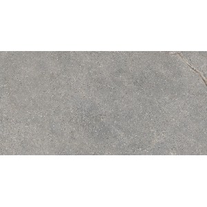 ANTHOLOGY 04 GRAY NATURALE RETT 60x120 9,5 mm
