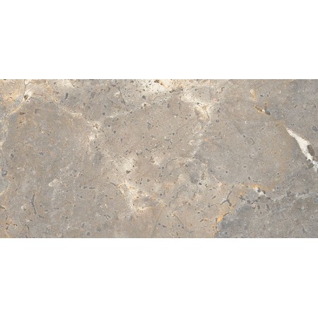ANTHOLOGY 03 EARTH NATURALE RETT 60x120 9,5 mm