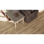 CASTELVETRO CERAMICHE WOODLAND OAK 20X120 RETT. sp.10mm