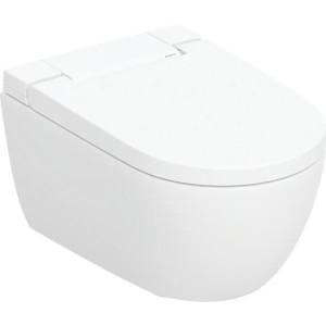 copy of ACANTO WALL-HUNG RIMFREE TOILET + SOFT CLOSE SEAT