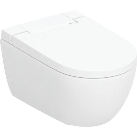 copy of ACANTO WALL-HUNG RIMFREE TOILET + SOFT CLOSE SEAT