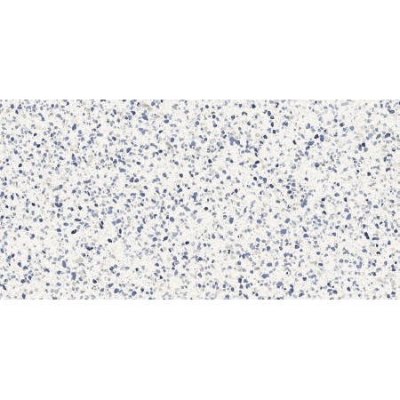copy of FRAMMENTO