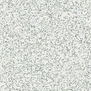 copy of FRAMMENTO
