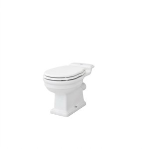 ELLADE RIMLESS ONE-PIECE TOILET WITH WALL OUTLET