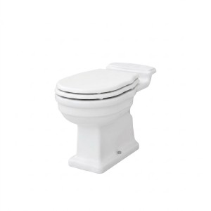 ELLADE RIMLESS ONE-PIECE TOILET FLOOR DRAIN