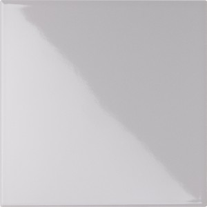 CE.SI. I COLORI LUCIDO 20x20 SALGEMMA