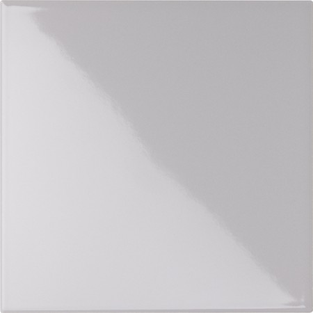 CE.SI. I COLORI LUCIDO 20x20 SALGEMMA
