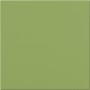 CE.SI. I COLORI MATT 20x20 KIWI
