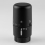 TESTA TERMOSTATICA NERO OPACO K1
