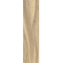 More Miele 20x80 10mm