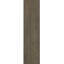More Oliva 20x80 10mm