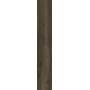 More Oliva 26x160 10mm