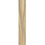 More Miele 26x160 10mm