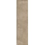 CLAYS EARTH 30X120 Rectified