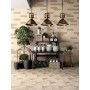 MARCA CORONA TERRA PORZIONE ESAGONA VERS. C 25X21.6