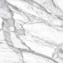 JEWELS STATUARIO LUNENSIS 120X120 LUCIDO RETT