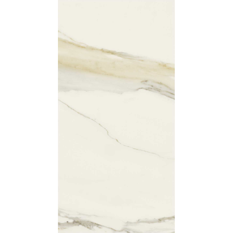 REX CERAMICHE I CLASSICI CALACATTA GOLD MATTE 60X120 SP.9mm