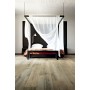 REX CERAMICHE PLANCHES MIEL MATTE 20x120 RETTIFICATO 9mm