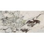 MARAZZI ALLMARBLE_FLOOR CAPRAIA 60X120 RETTIFICATO