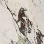 MARAZZI ALLMARBLE_FLOOR CAPRAIA 75X75 RETTIFICATO