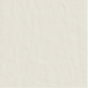 CASAMOOD NEUTRA WHITE 6.0 120x120