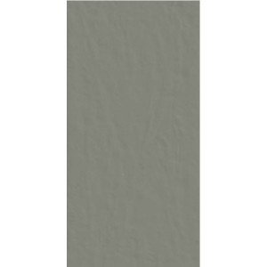 CASAMOOD NEUTRA GRAFITE 6.0 60x120 SP 6mm