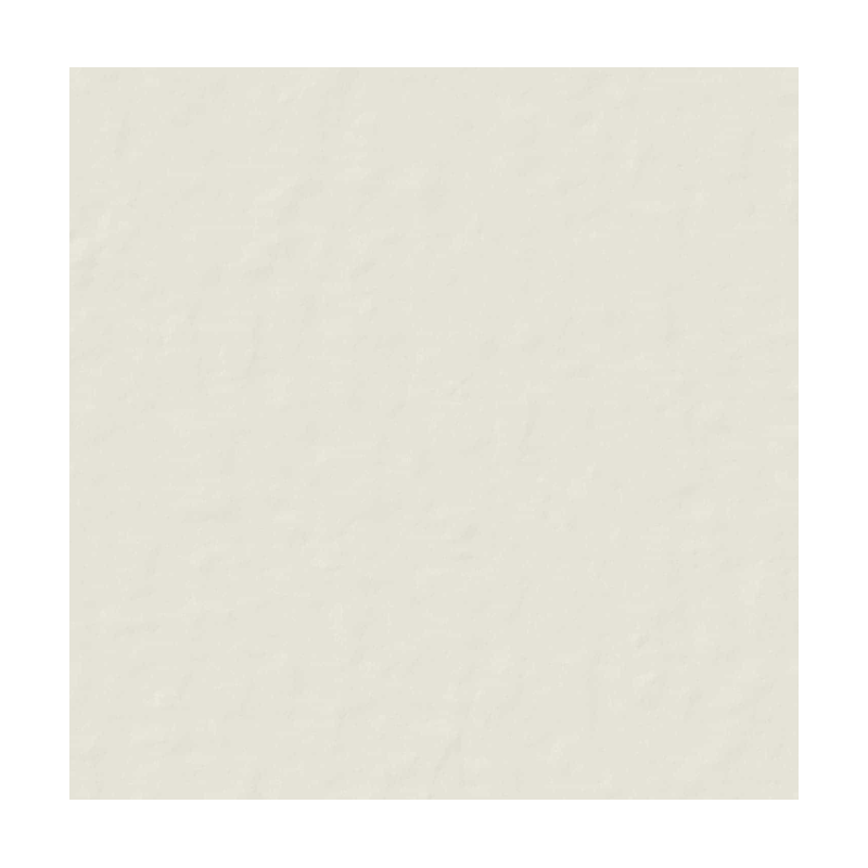 CASAMOOD NEUTRA BIANCO 6.0 80x80