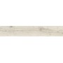 ALNUS PURO 20X120 RETT SP 9