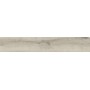 ALNUS PLUMBEO 20X120 RETT SP 9
