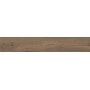 ALNUS TERRA 20X120 RETT SP 9