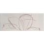 PAUL CERAMICHE LINEUP INS. DAISY PEARL A+B 20x50