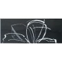 PAUL CERAMICHE LINEUP INS. DAISY BLACK A+B 20x50